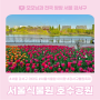 마곡 봄 데이트 서울 식물원 호수 공원 튤립 명소