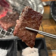 신비갈비살본점 신사동 최자로드 까지 나온 한우 소고기 강남맛집