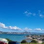 Devonport day trip