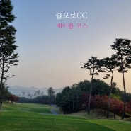 솔모로CC(메이플/파인코스) 2024 04 18