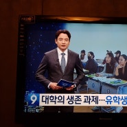 몽골 유학생이 말하는 충청대학교: 국제 교류와 한국어 학습