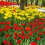 4월 서울 주말 가족나들이로 꽃구경 피크닉 하기 좋은 장소 서울숲 튤립 서울숲 맛집 한냄비