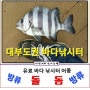[낚시터 정보] 돌돔을 방류하는 바다 낚시터 (대부도권)&짬낚시ㅡ6시간 출조(2024.4.19)