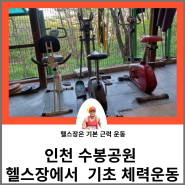 인천 수봉공원 헬스장에서 기초 체력운동
