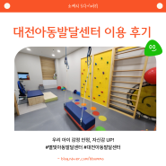 대전 별빛 아동발달센터 감각통합치료 후기
