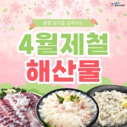 4월 제철 해산물 도미, 숭어, 도다리 알아보고 맛있게 먹자!