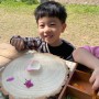 평촌 의왕 과천 유아 숲체험 : 모아숲아트 숲놀이 원데이수업 후기