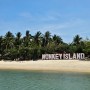 [베트남 배낭여행] 나트랑 화란섬 버드쇼 & 원숭이섬 일일투어 후기