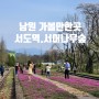 전북 남원 가볼만한곳 기차여행 추천 미스터선샤인 촬영지 서도역 서어나무숲 벚꽃길