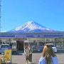 일본 도쿄 가볼만한곳 근교 소도시 포함 BSET5! 자유여행 코스