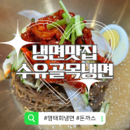 [수유역 서울 맛집] 속초 명태회냉면이 있는 곳 냉면 맛집인 수유골목냉면