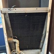 양천구 신월동 - 업소 캐리어 스탠드형 냉난방기 에어컨 청소 분해 세척