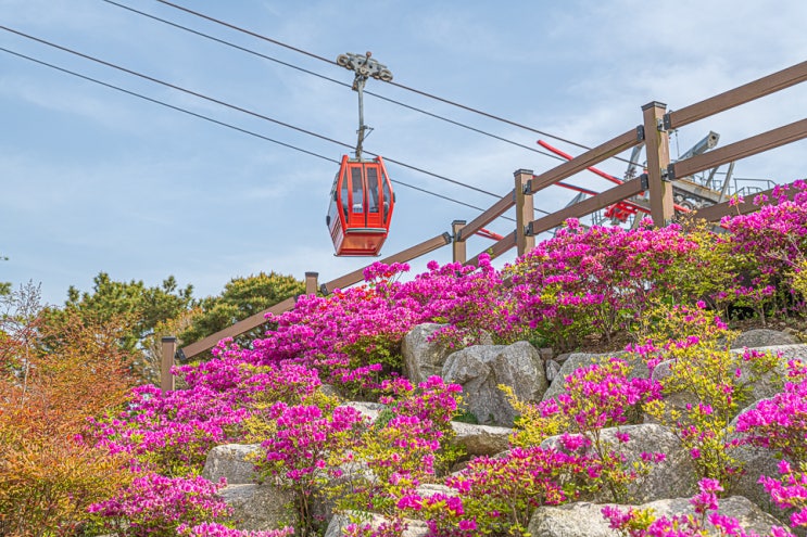 4월 사천 여행 사천바다케이블카 타고 푸릇한 풍경과 꽃 구경