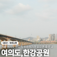 서울 여의도 한강 먹거리 놀거리 텐트존 방문전 팁