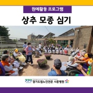 경기도립노인전문시흥병원 <상추 모종 심기>