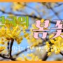 해레 팟캐스트 4.한국의 봄꽃