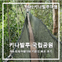 [코타키나발루 여행 #8] 키나발루 국립공원_캐노피워크웨이(canopy walkway)와 키푼깃 폭포(kipungit waterfall) 후기