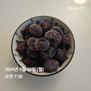 [식단일기] 2024년 04월 3주차