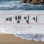 [여행] 강릉 당일치기 여행 후기