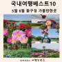5월 6월 꽃구경 가볼만한곳 국내여행지베스트10 추천