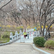 서울 올림픽공원 유아숲체험 숲파티포레 5살 아이와 가볼만한 곳