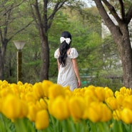 의정부 직동근린공원 튤립 포토존 주차 꿀팁 5월 꽃구경 경기도 걷기 좋은 길 가볼만한곳
