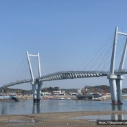 태안 여행 가볼만한곳 안면도 '드르니항' 꽃게다리