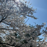 [240420]블로그가 깨끗해진 이유