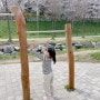 한국여행 24일차 - 명륜진사갈비, 베르네 천 산책, 벚꽃 맛집