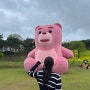 🩷토요일 핑크밸리곰 만나러 [2024화순고인돌봄꽃축제]