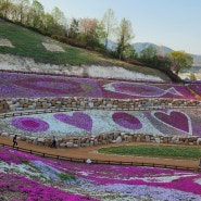 경남여행 4월 산청 축제 꽃잔디 매료시키는 생초국제조각공원