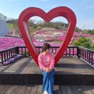 산청여행 생초국제조각공원 꽃잔디 축제