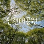 벚꽃대신 튤립보고 온 인천대공원