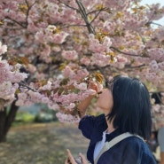 4월 19일 각원사 겹벚꽃보러 나들이!
