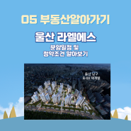 울산광역시 남구 신정동 울산대공원 앞 2,033세대 라엘 에스 5월 분양 예정 (재개발)