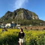 4월 제주 가족 여행 - 서귀포 여행 코스 /산방산/사계해변