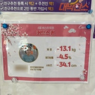 커브스다이어트후기 15개월동안 13kg 감량 !커브스가격 용인수지다이어트 다이어트모집중