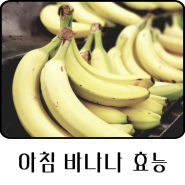 아침 바나나 효능 부작용 공복에 괜찮을까?