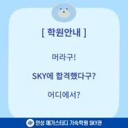 2025학년도 SKY에 합격할 사람을 찾습니다.