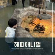 해피애니멀, 17개월 아이와 다녀온 천안 광덕 실내동물원 후기 (할인이벤트 중)