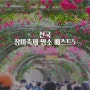 전국 5월 꽃축제 장미축제 명소 국내여행지베스트 데이트 가볼만한곳 (서울포함)
