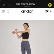 안다르 여름 바지 차이 (아이스무스 & 아이스브리드 조거 팬츠)