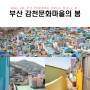 한국의 마추픽추 부산 감천문화마을 사진명소 주차팁 여행코스
