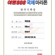 여명808 국제마라톤대회 10km 완주 후기: 42분