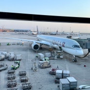 카타르항공 인천 프라하 도하 경유 QR859 QR289 이코노미 좌석 탑승 후기