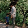 고레에다 히로카즈 감독의 영화 '그렇게 아버지가 된다' (2013)