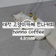 대전 한나커피 hanna coffee 고양이카페