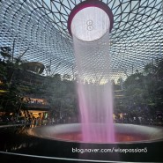 싱가포르 🇸🇬 창이공항 분실물 신고 사이트 안내 및 찾는 방법(special thanks to 아시아나직원분 ❤️)