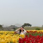 경주 첨성대 튤립 실시간 내부 위치 경주 여행 4월 꽃구경 가볼만한곳