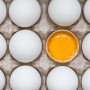 [봄쿡식당]두 번째 식재료 탐험 – 달걀